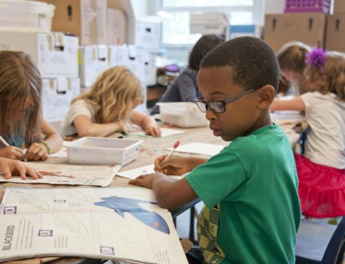 Cada Fase Conta: Como o Desenvolvimento Escolar é Construído Desde a Infância