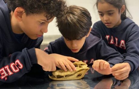Colégio Maia: Ensino Fundamental I